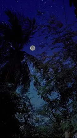 View night