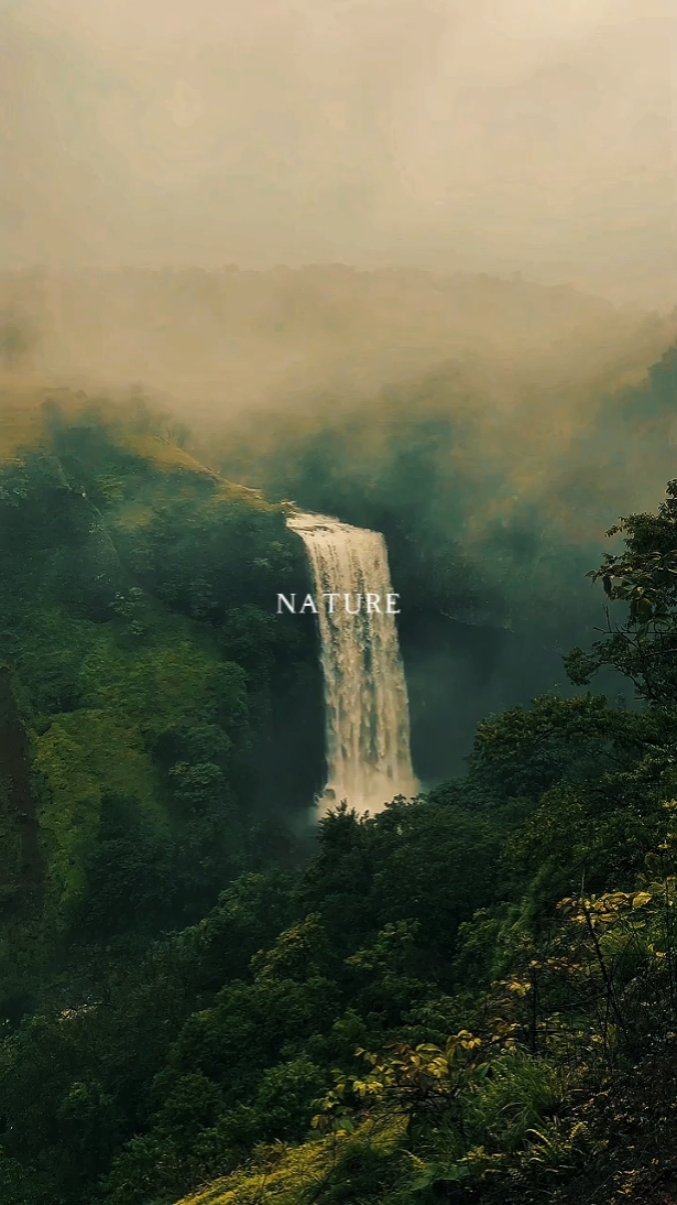nature therapy 