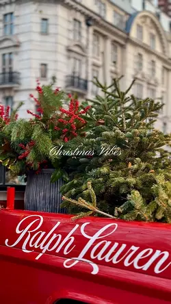 Christmas Vibes