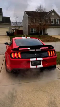 Mustang 