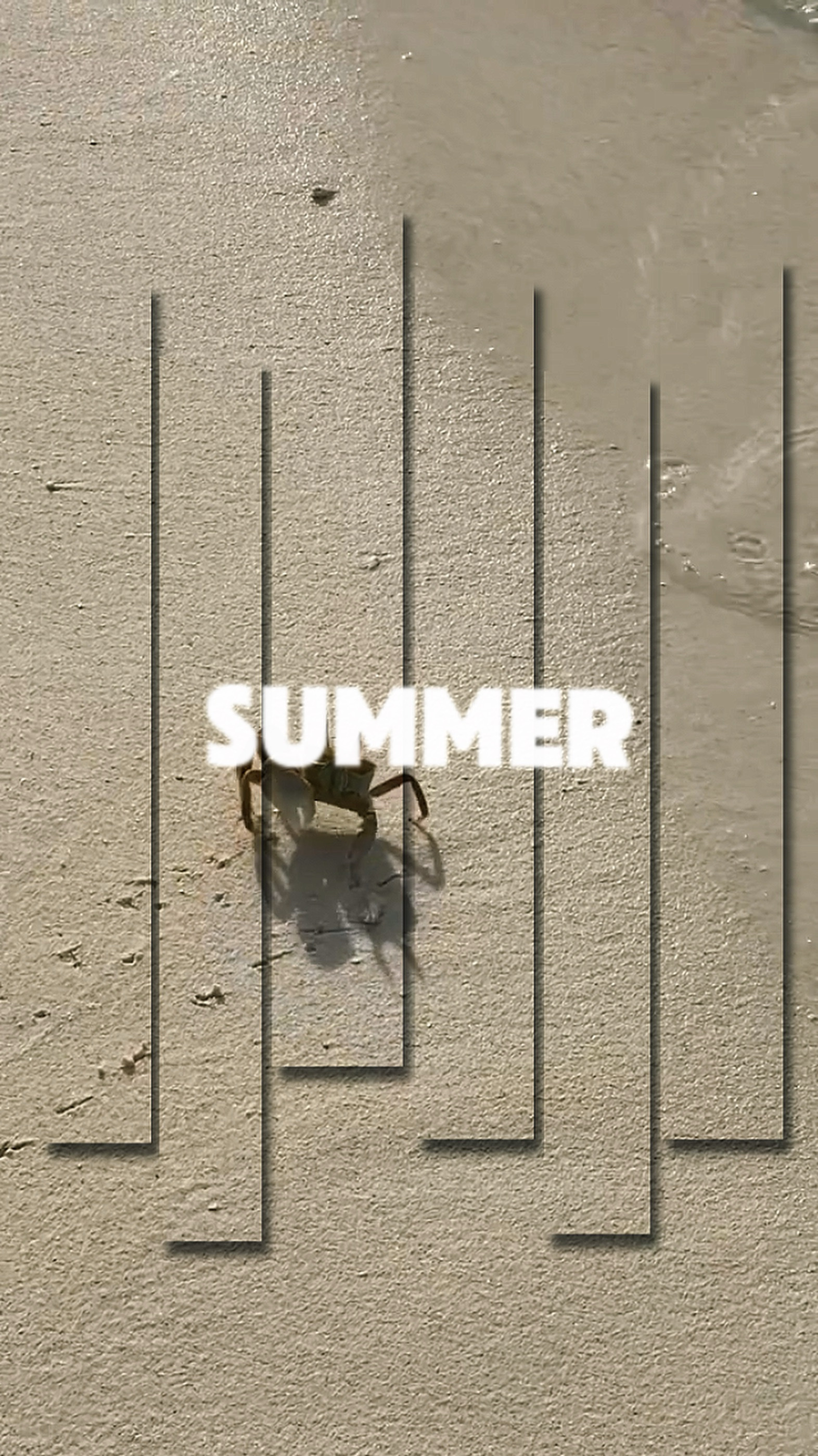 Summer x Melissa