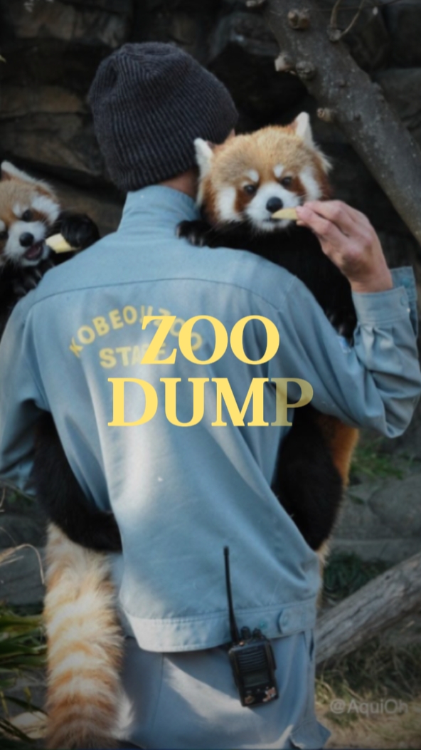 zoo dump