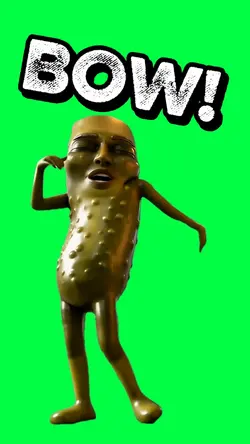 PICKLE SAHUR BOW!