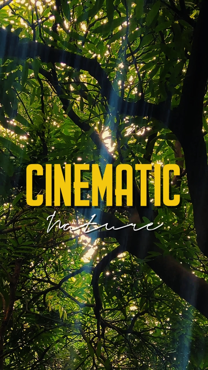 NATURALEZA CINEMÁTICA 