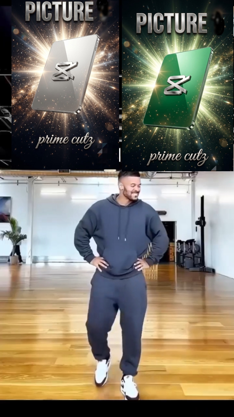 Modèle viral