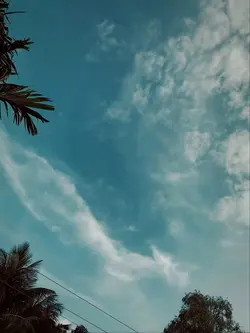 Attitude Video
