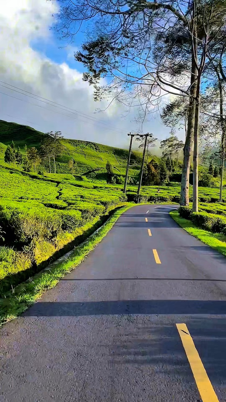 3 klip video HD 