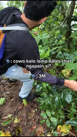 cowo lama bales