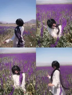 4 pics