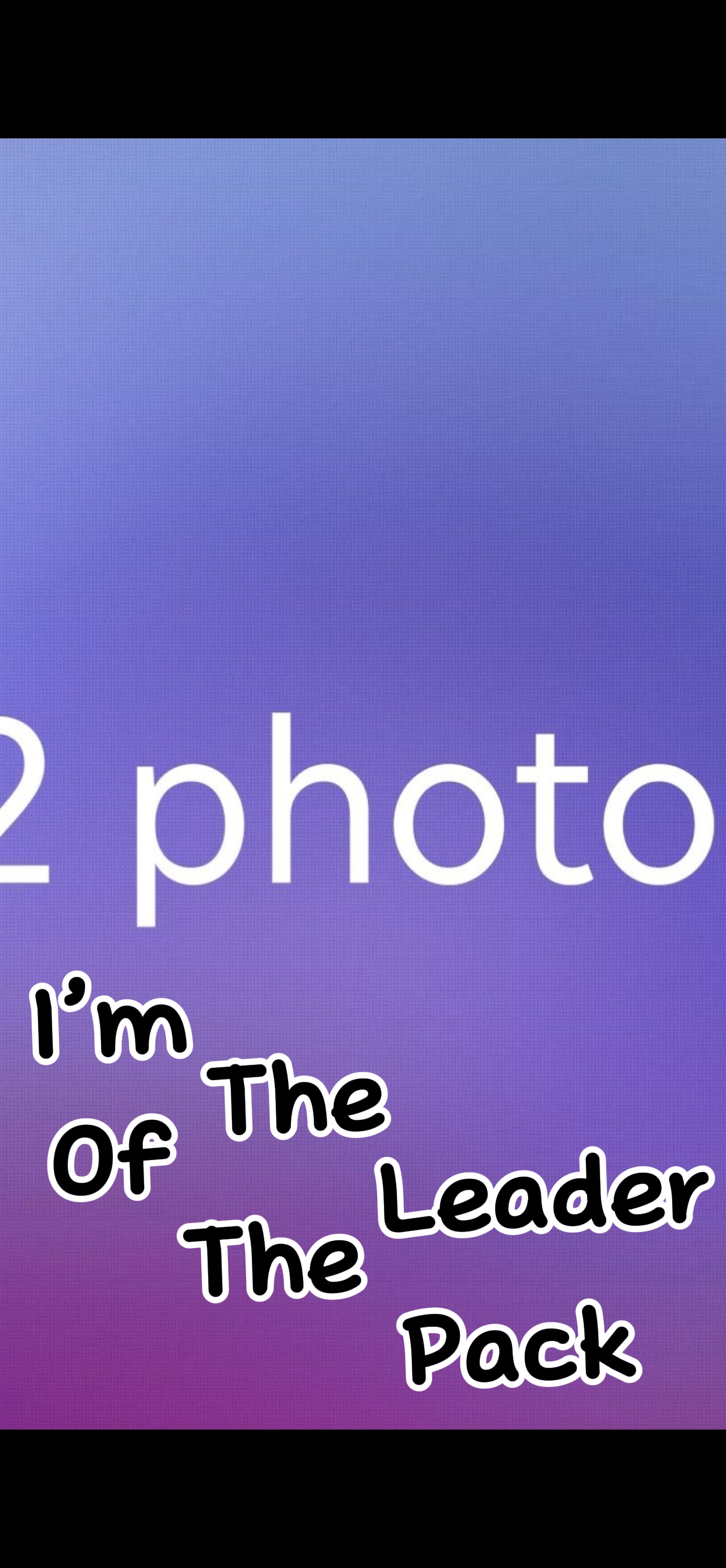 Cover Picture
