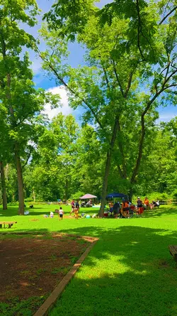 Picnic Day Clip