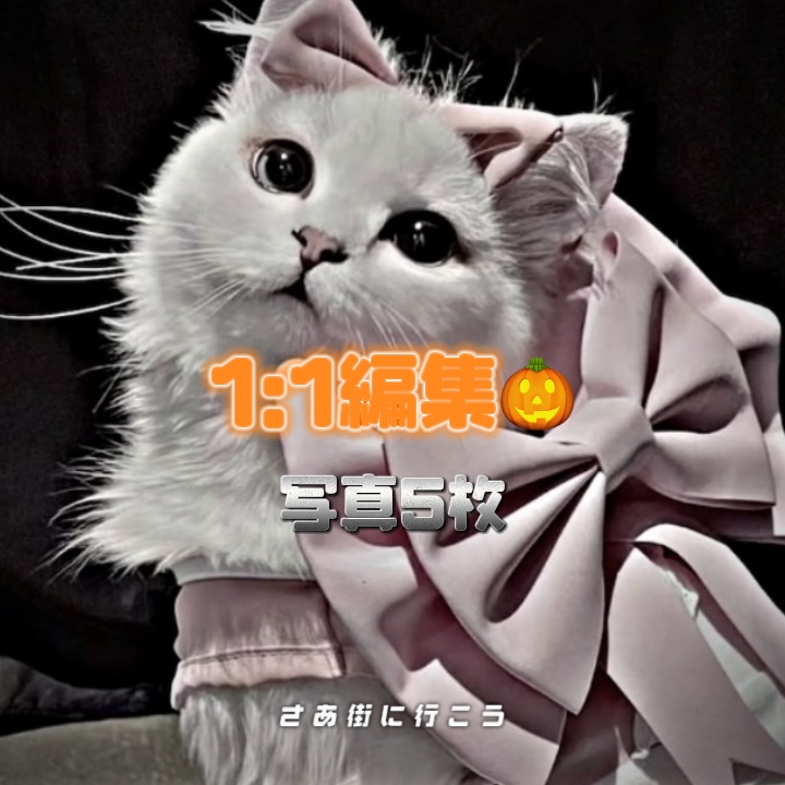 修正版です！🙏🏻🙏🏻