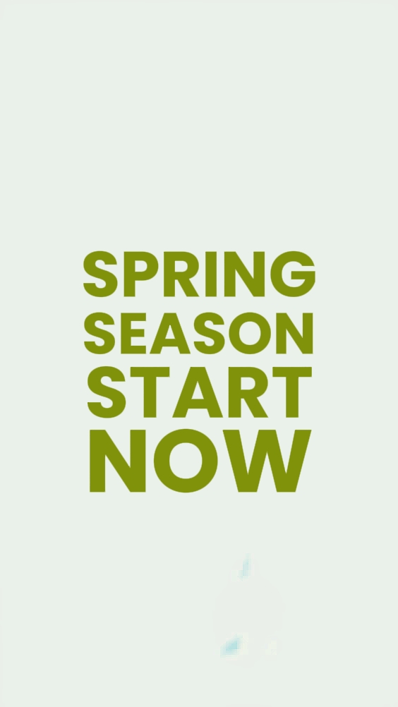 Temporada de rebajas de primavera