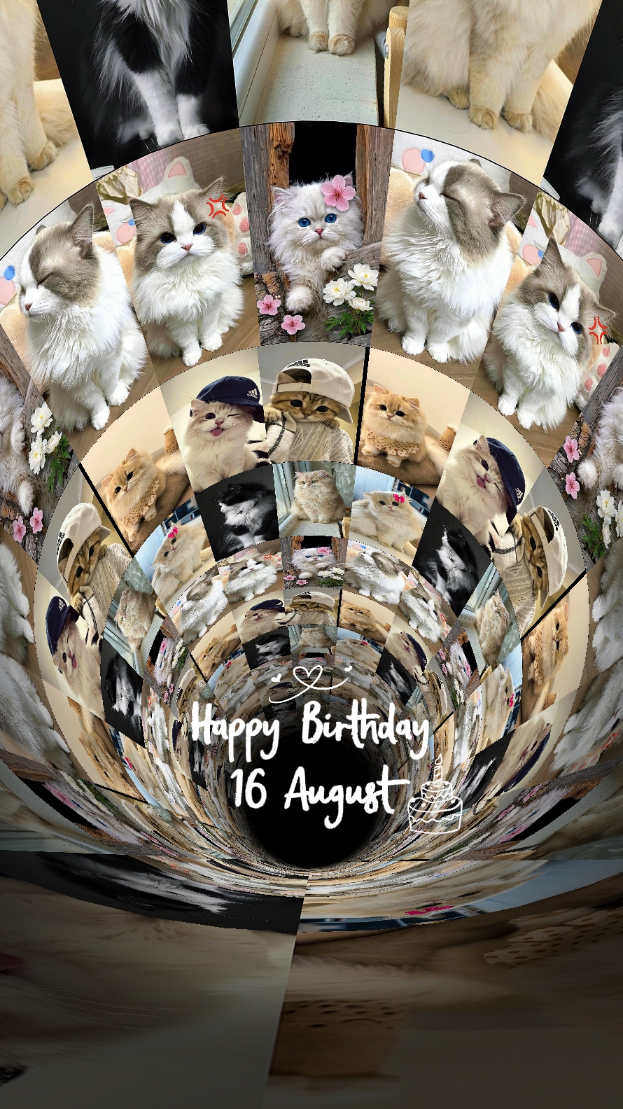 ulang tahun 16 agustus
