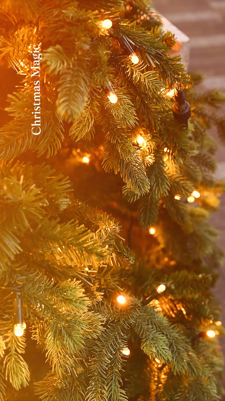 Magia De Natal❤️