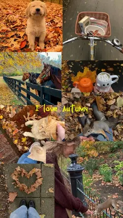 I love autumn