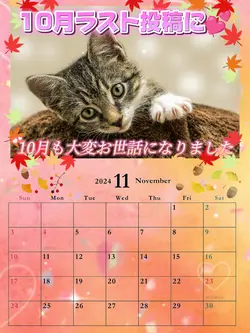 11月もよろしくお願いします③