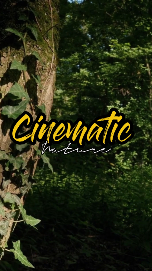 nature cinématographique 