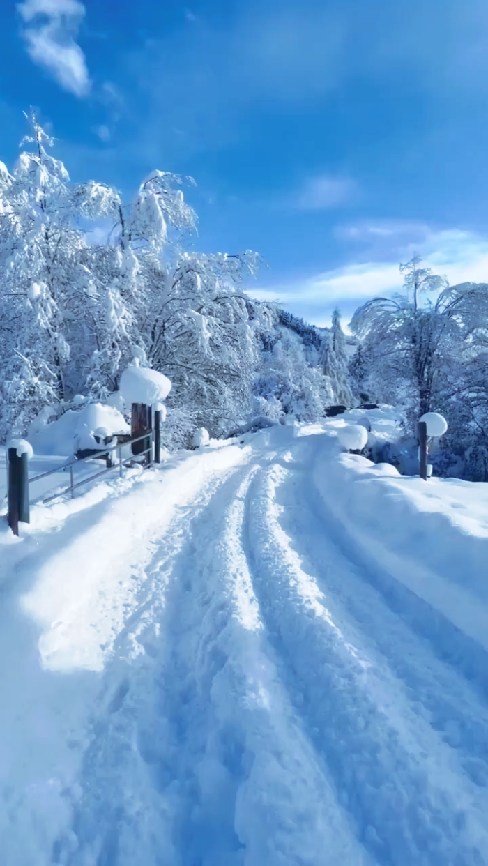 Snow Everywhere