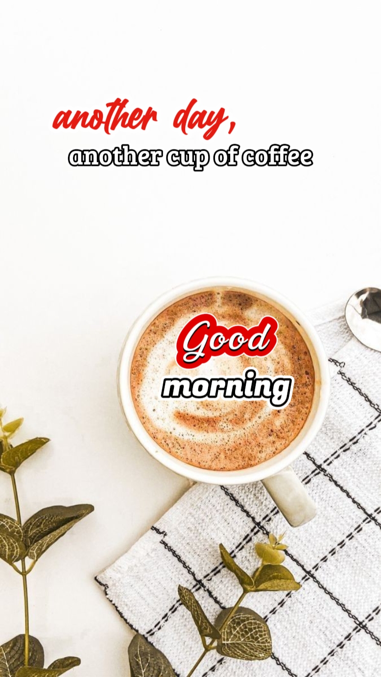 Bonjour