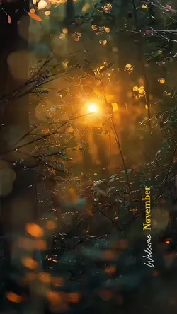 Welcome November❤️
