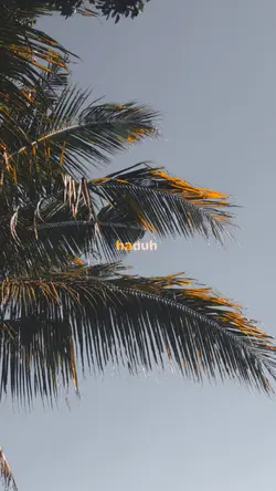 Cinematic hd jernih