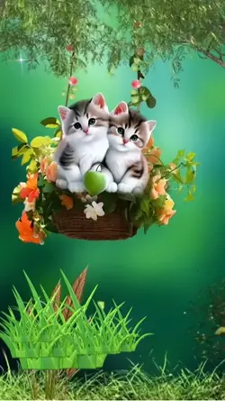 Cute cat