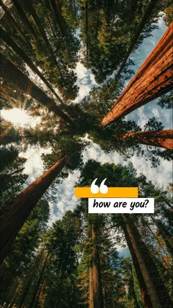 how are you 