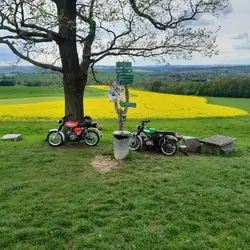 simson