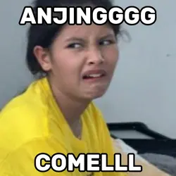 Anak anjing comell