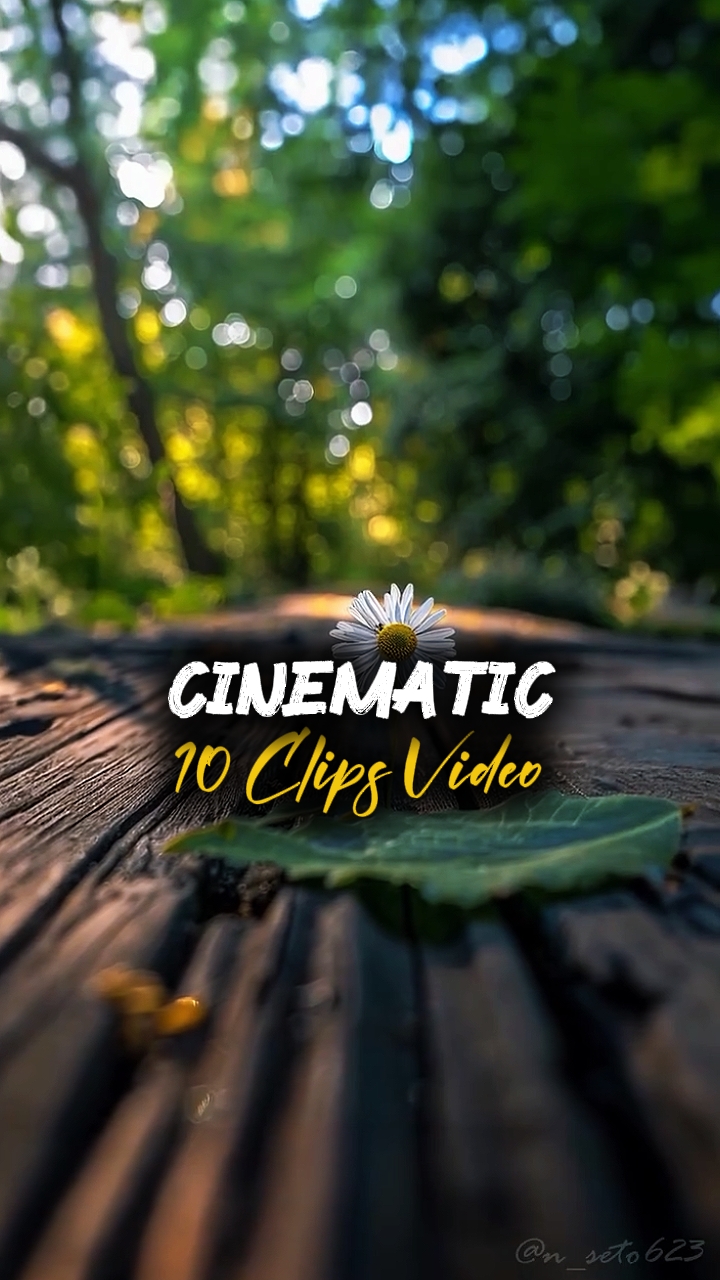 10 CLIPS VIDEO 