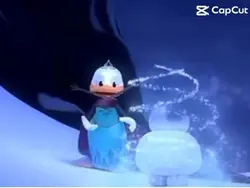 Canard des neiges 