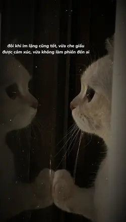 caption buồn 