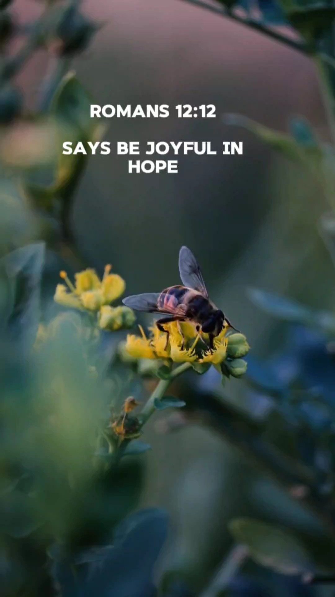 Romanos 12: 12