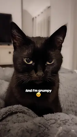 Meowwww