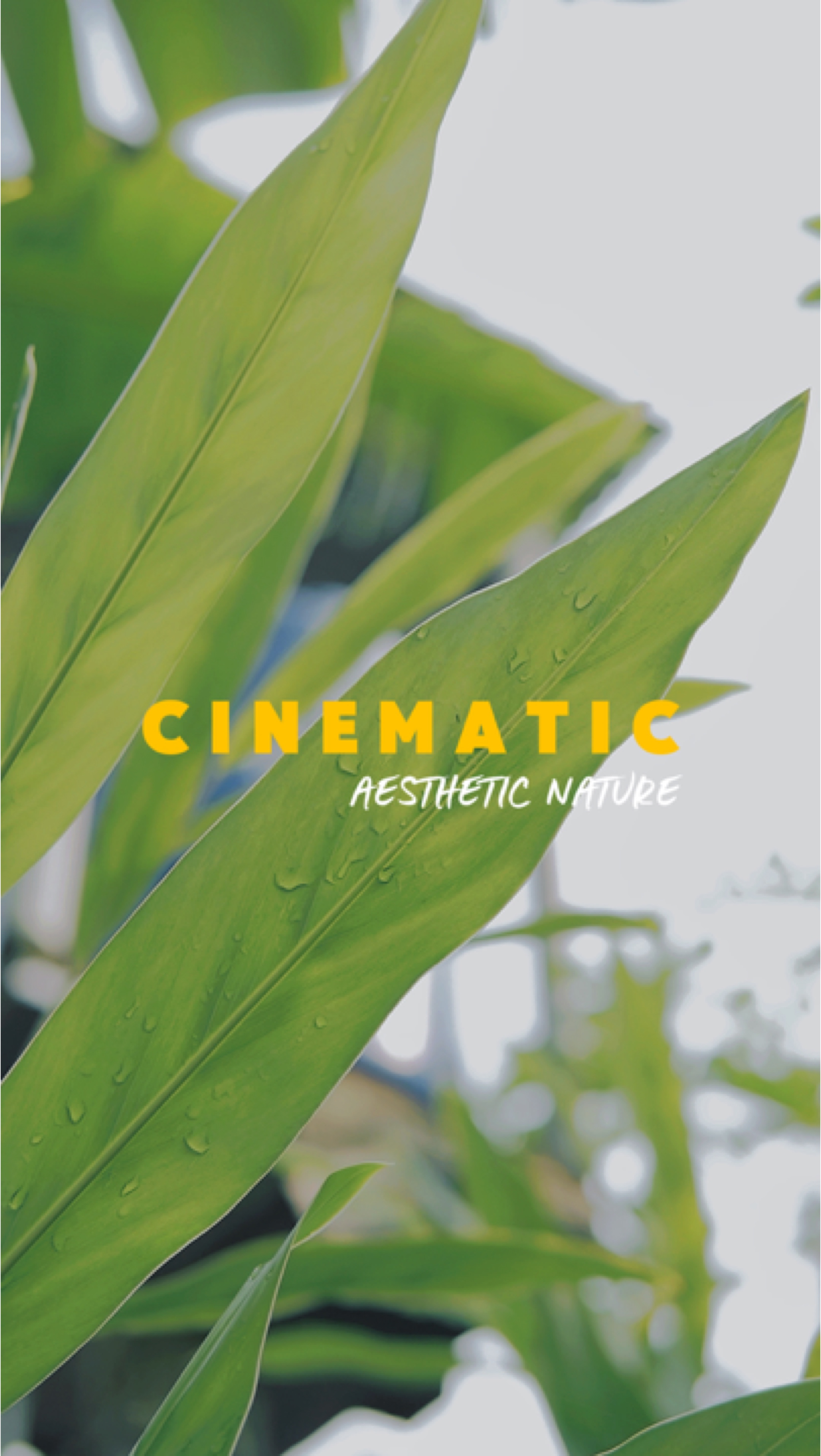 NATURALEZA CINEMÁTICA HD