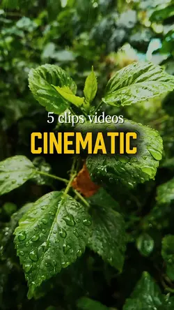 5 video cinematic
