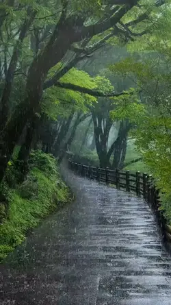 負心的人