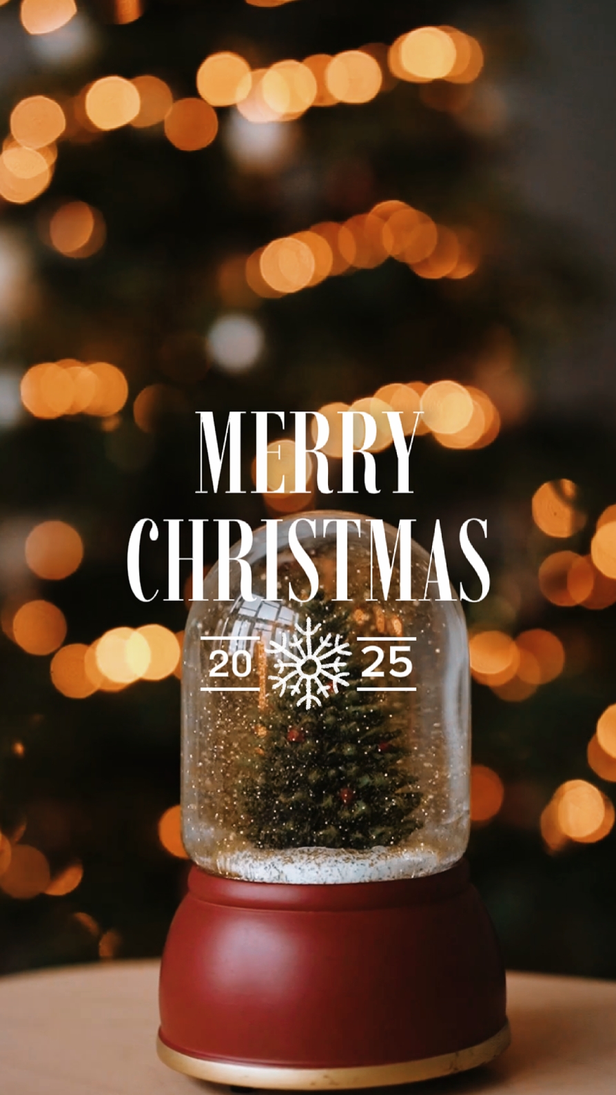 NOËL 2025