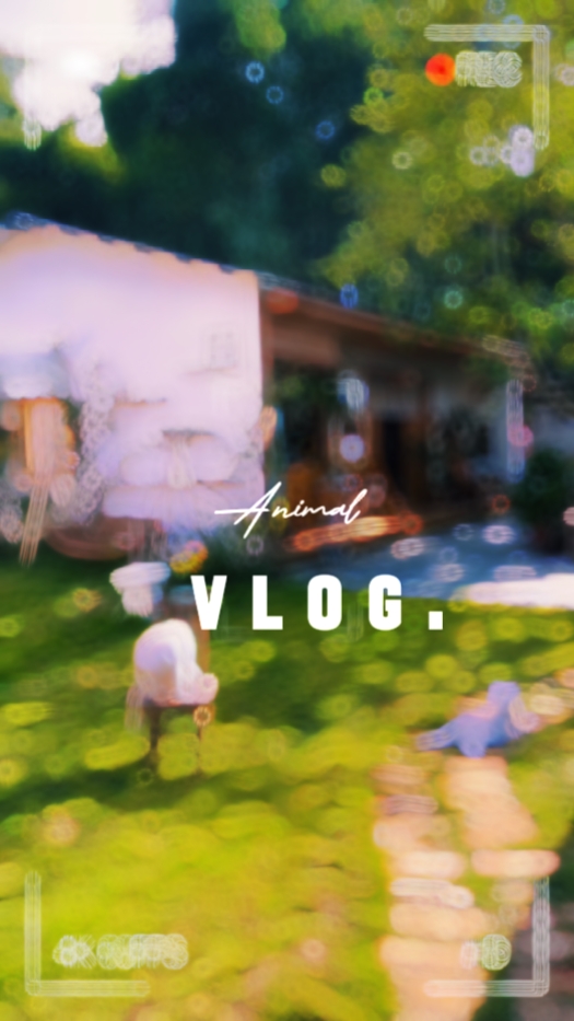 02 Vlog Hewan