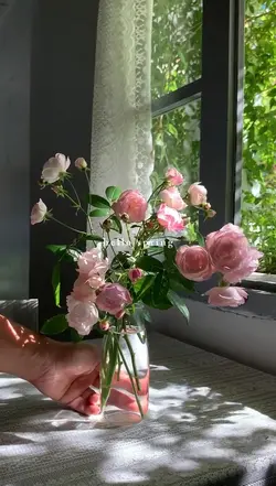 hello spring