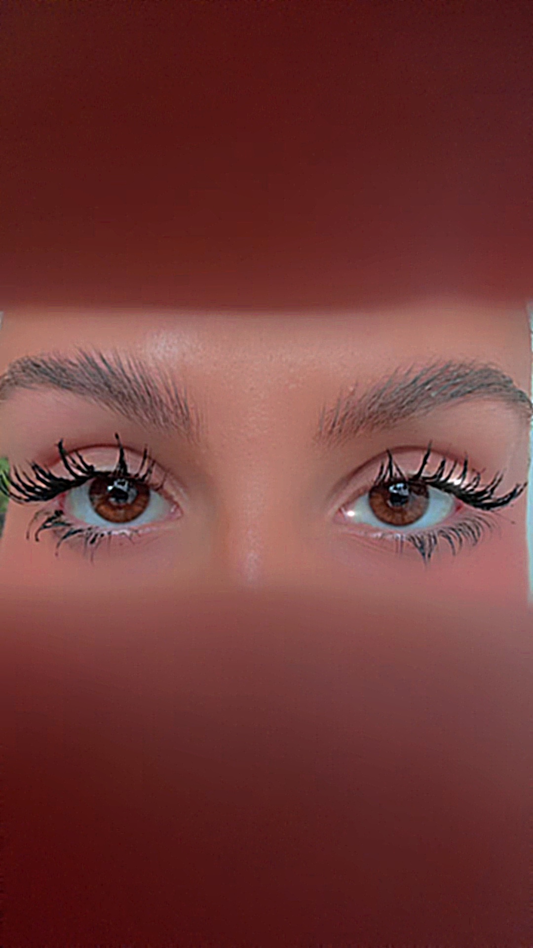 Eye Template Face And Eyes - Pippit