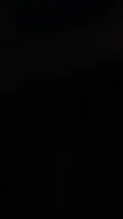 เพลง-ฮิตในtiktok