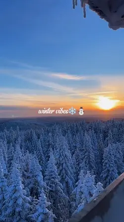 winter vibes