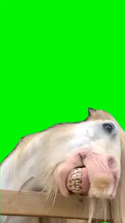 Funny Horse