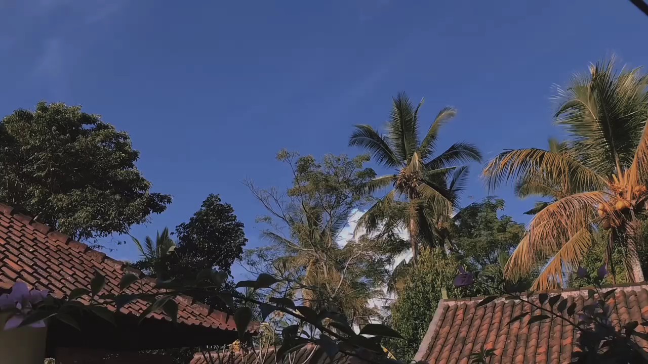 vidéo cinématique 2