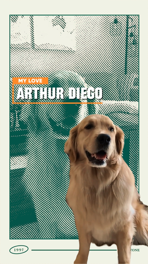introducing pets