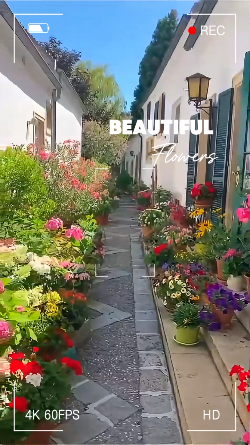 05. Beautiful flower