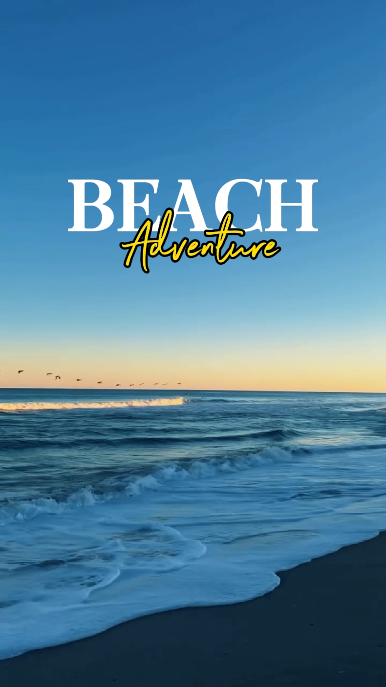 Aventure sur la plage 
