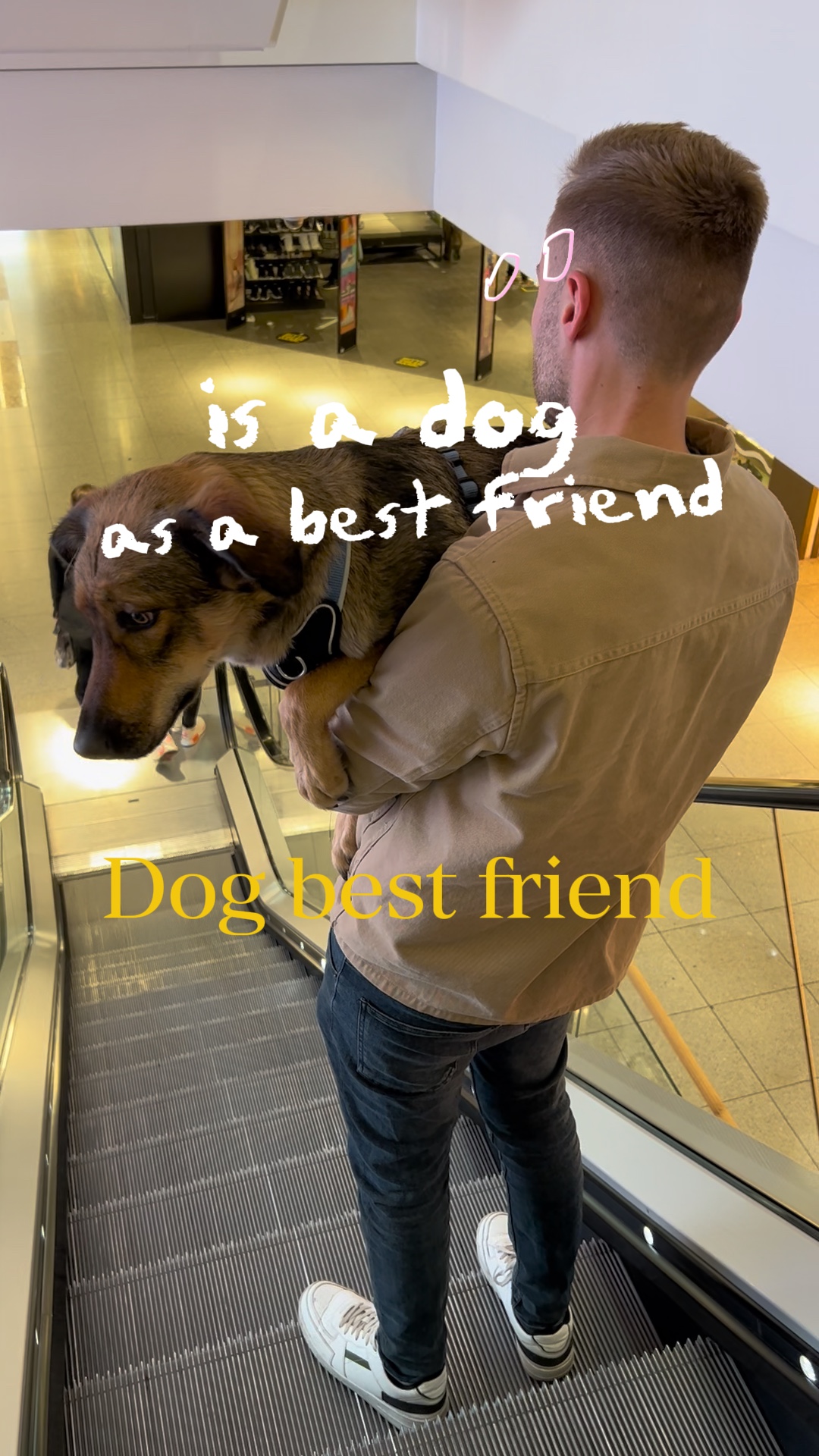 Dog best friend
